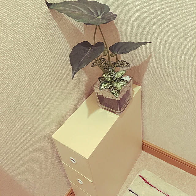 a_yさんの実例写真