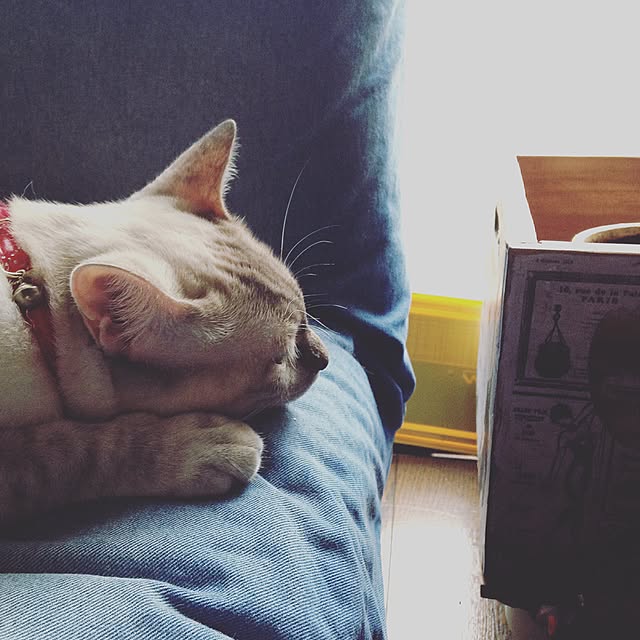 Naoki.さんの実例写真