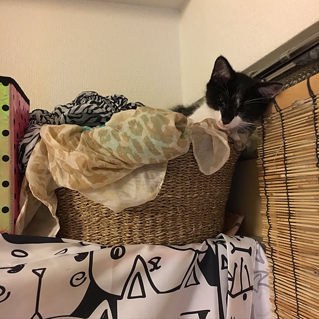 miyabiさんの実例写真