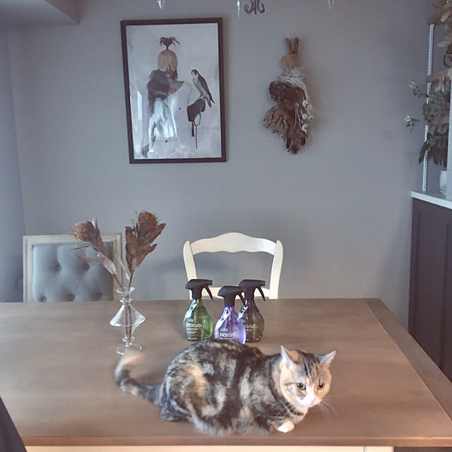 automneさんの実例写真