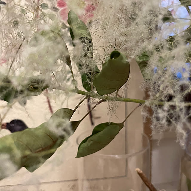 asako.10さんの部屋