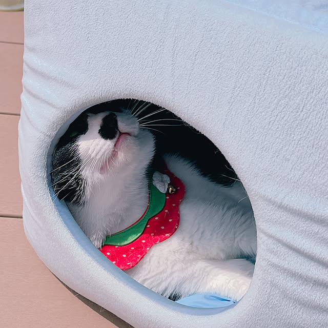 moolさんの部屋