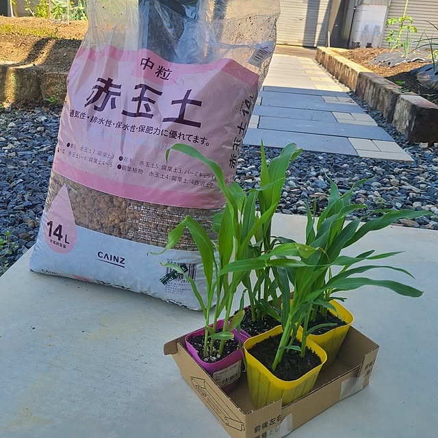 Rubiconさんの部屋