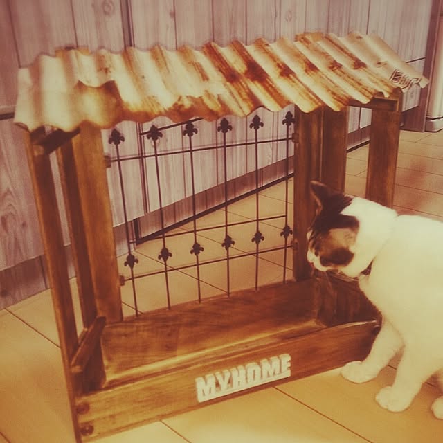 実例写真