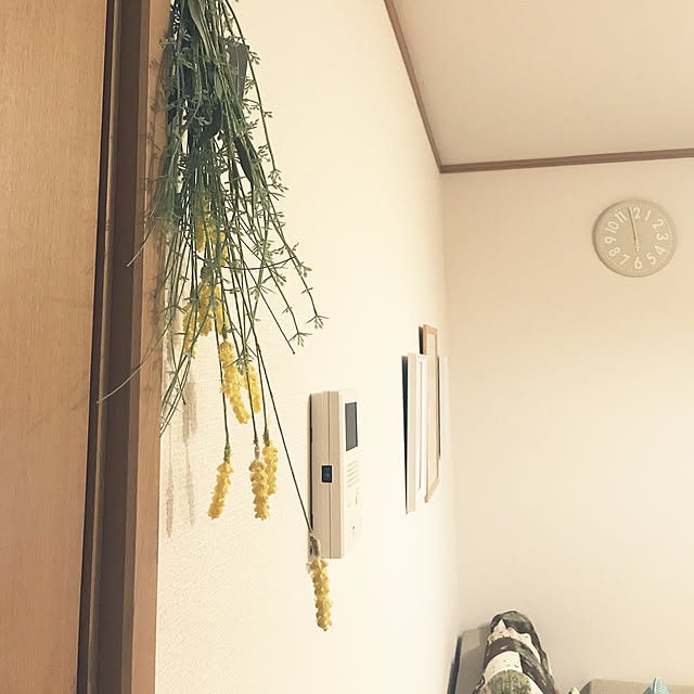ayyyさんの実例写真