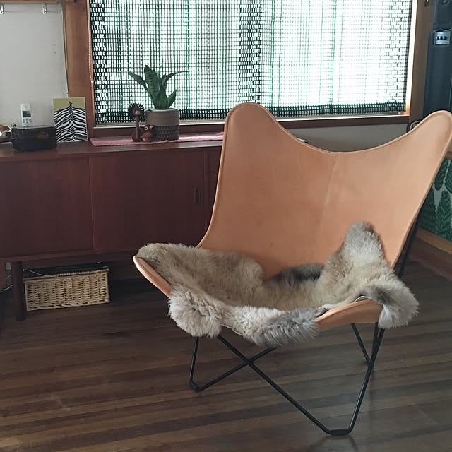 ramさんの実例写真