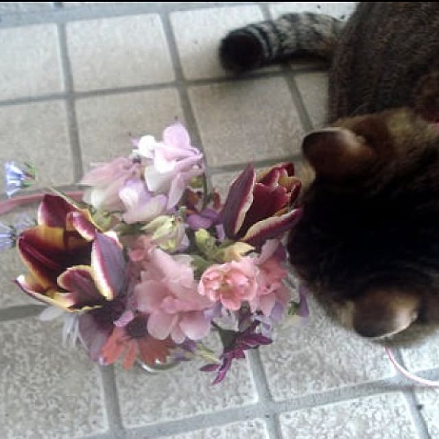 sannbonnnonamiさんの実例写真
