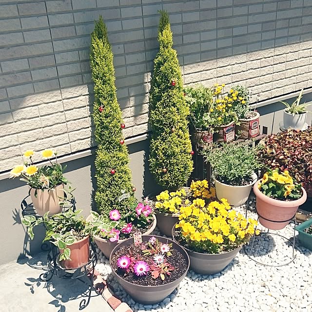 kotonaさんの実例写真