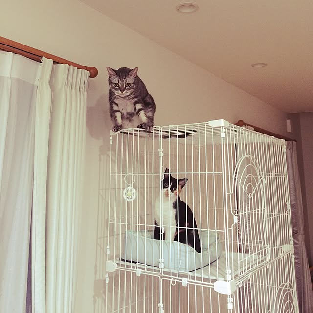 Idumiさんの実例写真