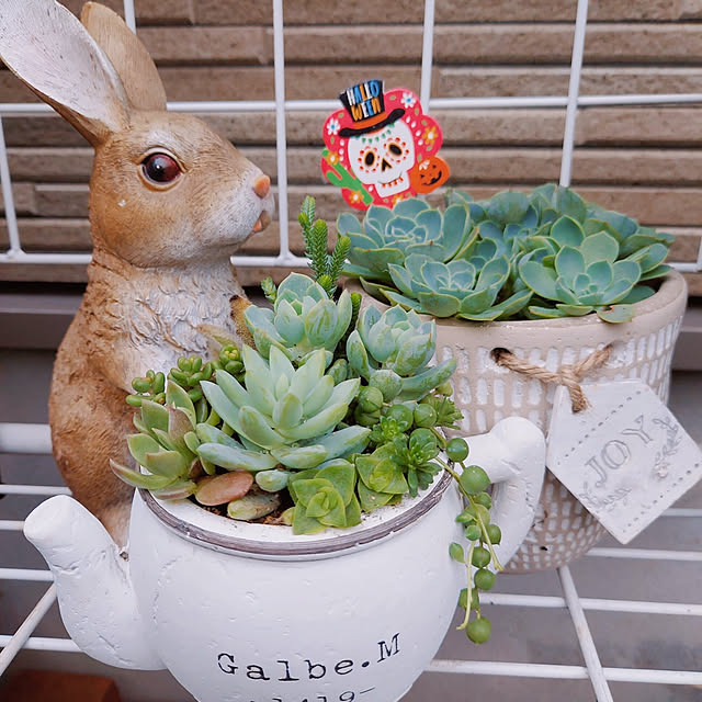 aikkoさんの実例写真