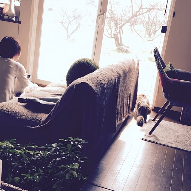 rcoaさんの実例写真