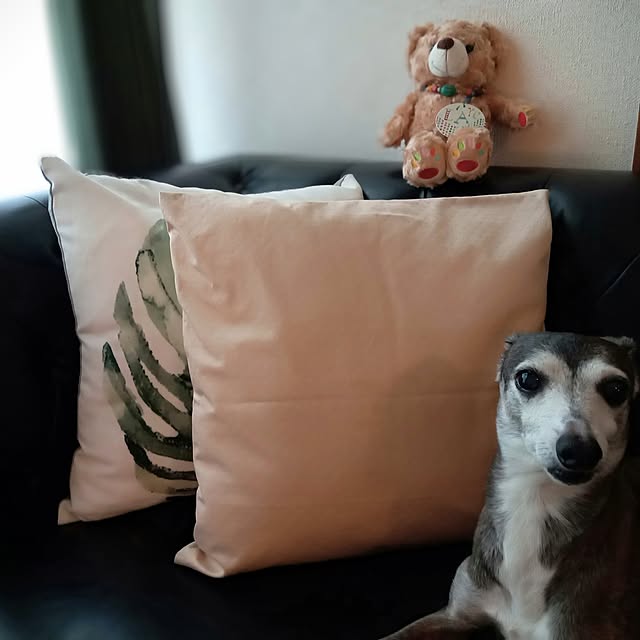 moruさんの部屋