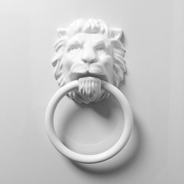 lionさんの実例写真