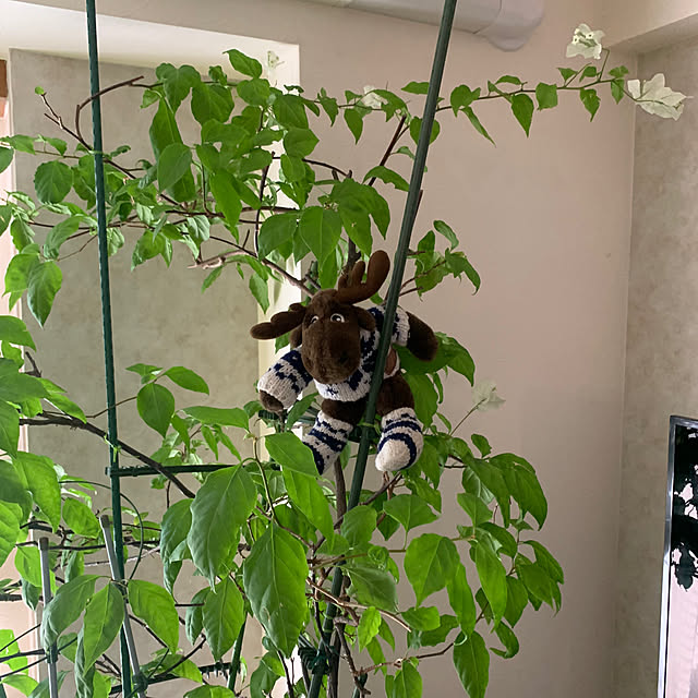Aqettyさんの部屋