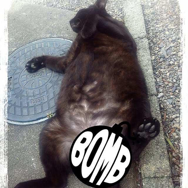 LittleMyさんの実例写真