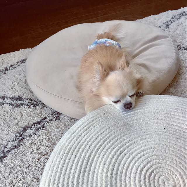 ponさんの実例写真