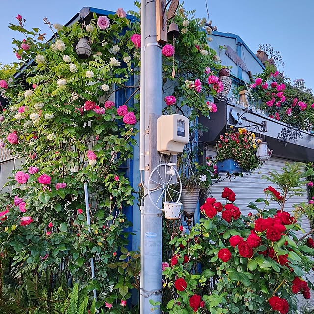 GreenHomeさんの実例写真