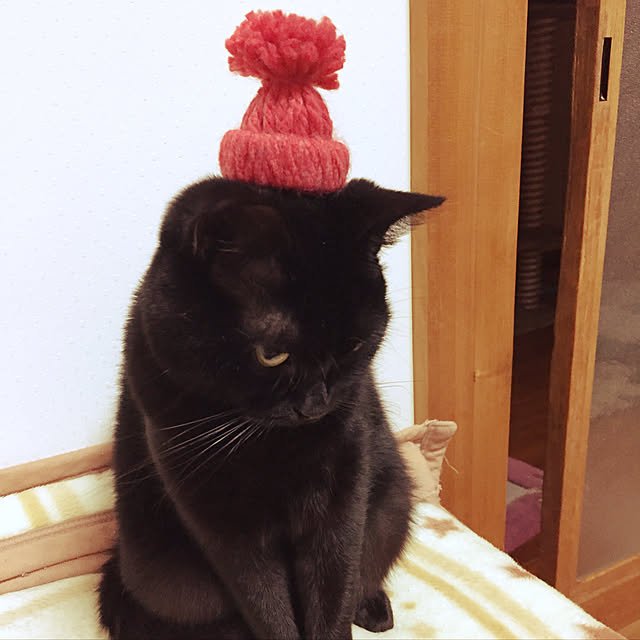 OmamekOさんの実例写真