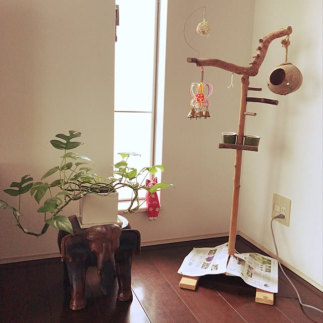 mikaringさんの実例写真