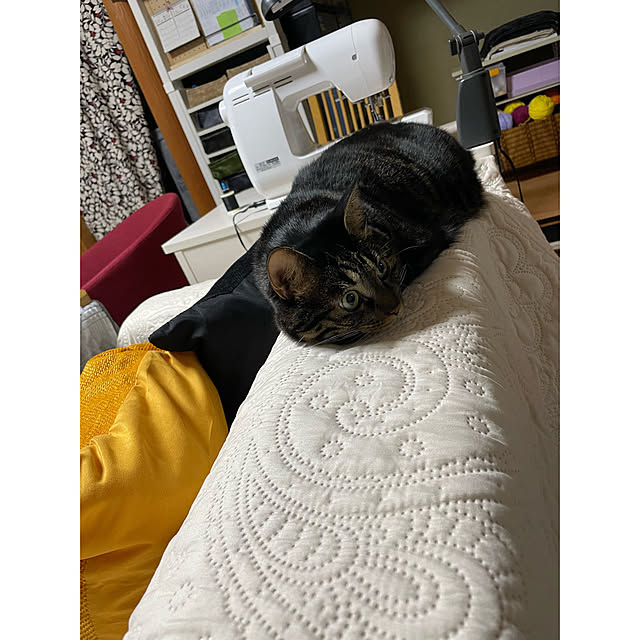 momocchiさんの実例写真
