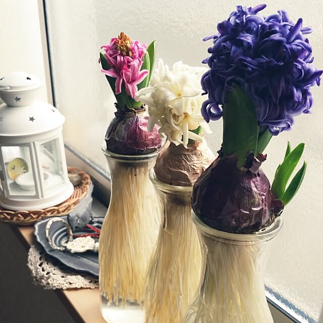sammunkoさんの実例写真