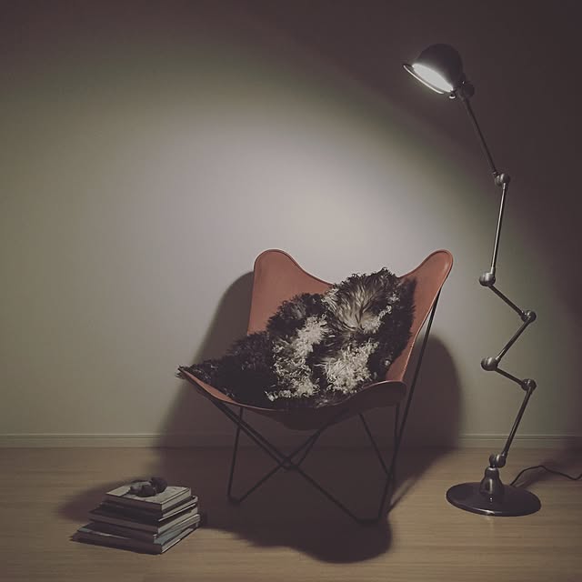 accoさんの実例写真