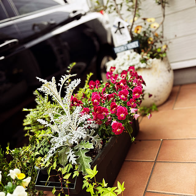 ange0919さんの部屋