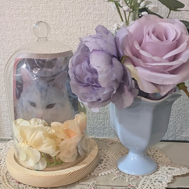 monnさんの実例写真