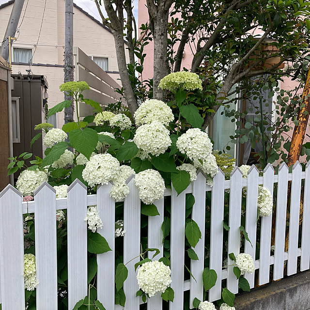 yukiさんの実例写真