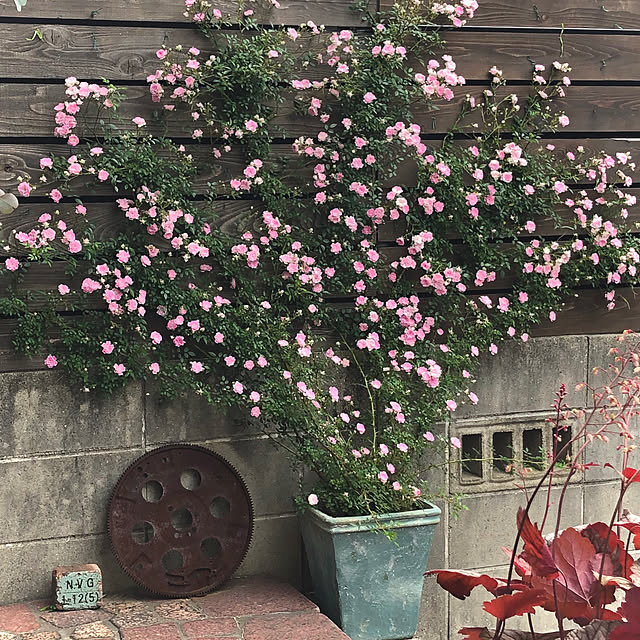 bibianさんの実例写真