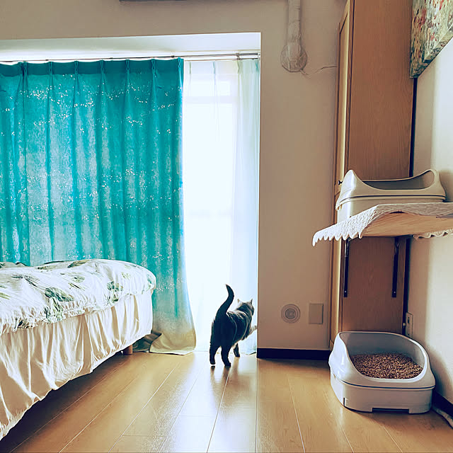 びっくりカーテン/ねこ/ベッド周りのインテリア実例 - 2022-05-26 10:45:58