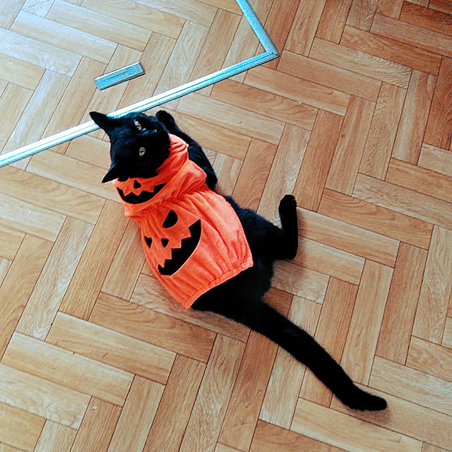 hiroさんの実例写真