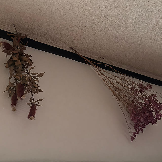 syutmmさんの部屋