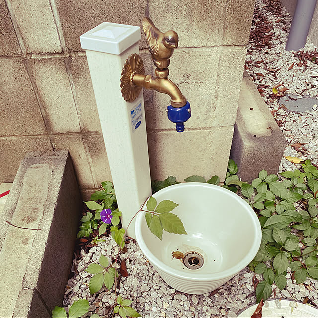 Jingさんの実例写真