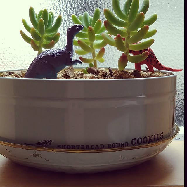 osotoさんの部屋