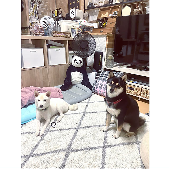 mo-nosukeさんの実例写真