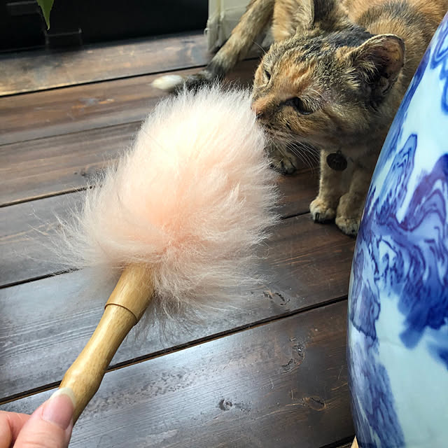 tkskspさんの実例写真