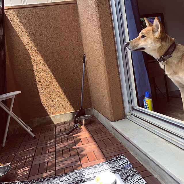 bonbonpeeさんの実例写真