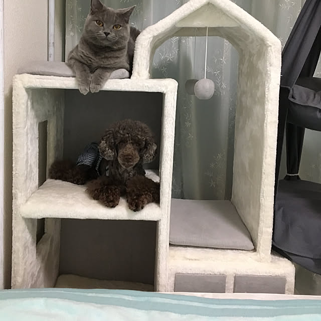fionaさんの実例写真