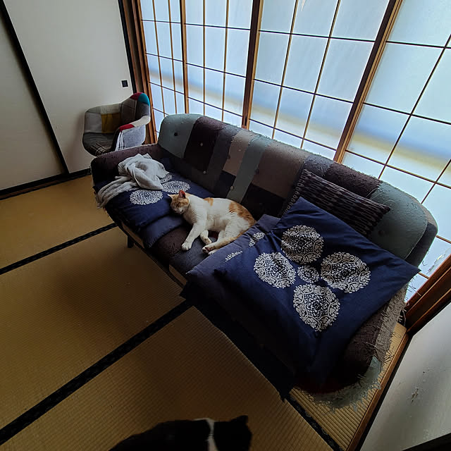 fuchan0930さんの実例写真