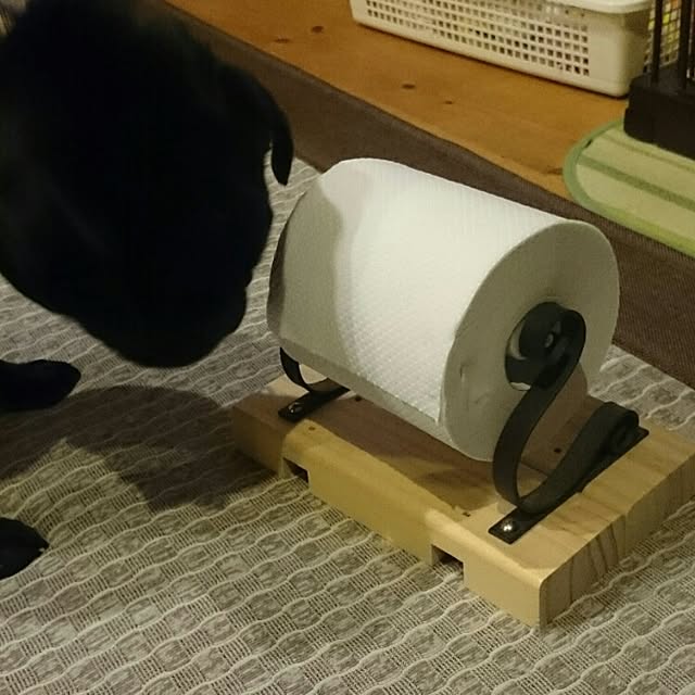 montoraさんの実例写真