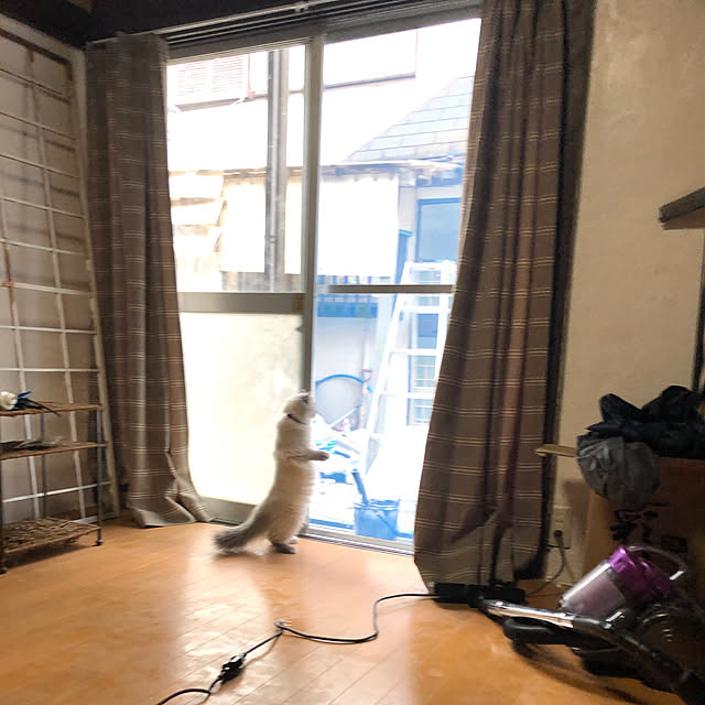 Reiさんの部屋