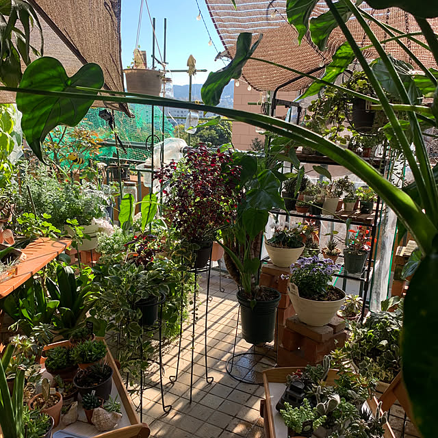 Aqettyさんの部屋