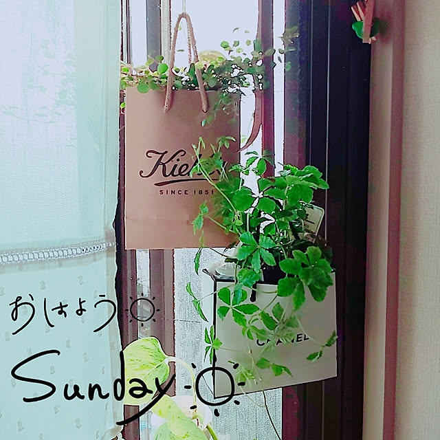 ruruveさんの実例写真