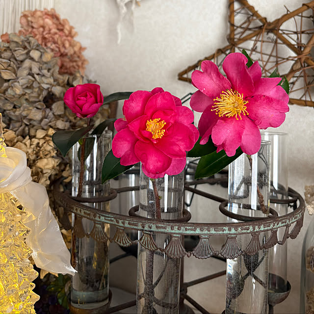 ChiCoさんの部屋