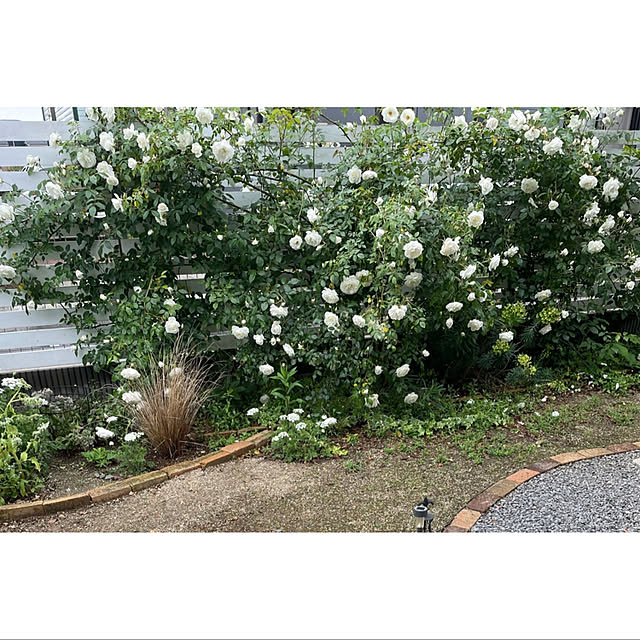 pandaさんの実例写真