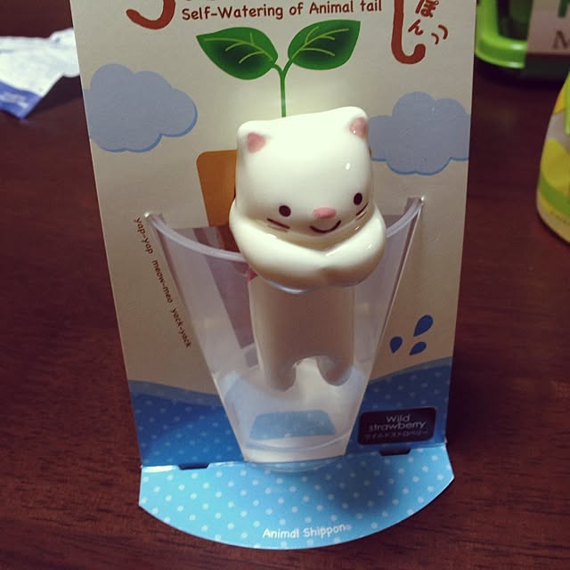 gashuuさんの実例写真