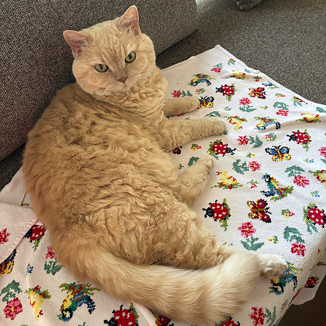 naokoさんの部屋