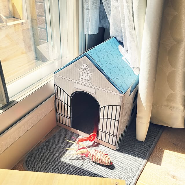 akimameさんの部屋