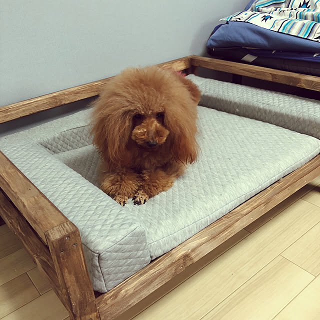 raminagrobisさんの実例写真